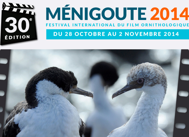 Festival de Ménigoute