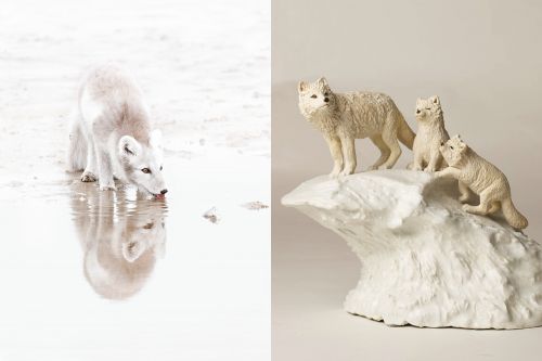 ©Thierry Vezon & Olivia Tregaut