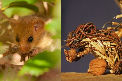 ©Patrick Trécul & Jacky Gouband