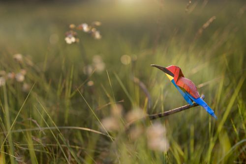 ©Jonathan Rebouillat