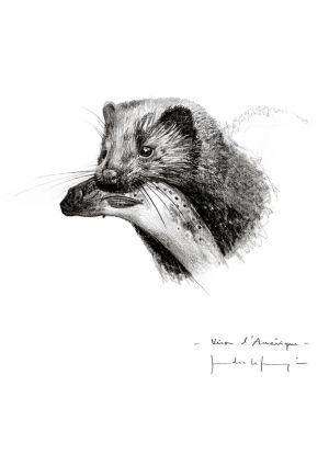 ©Sandra Lefrançois