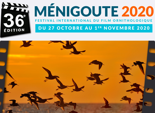 Festival de Ménigoute