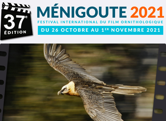 Festival de M�nigoute