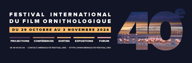 Festival de M�nigoute