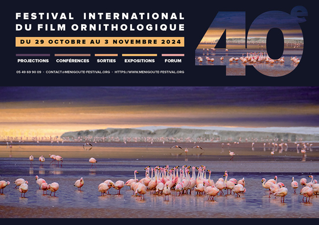 Festival de M�nigoute